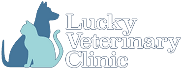 Lucky Veterinary Clinic Official Website